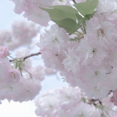 Furry绘画配色指南福瑞交流群